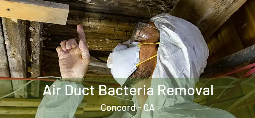  Air Duct Bacteria Removal Concord - CA
