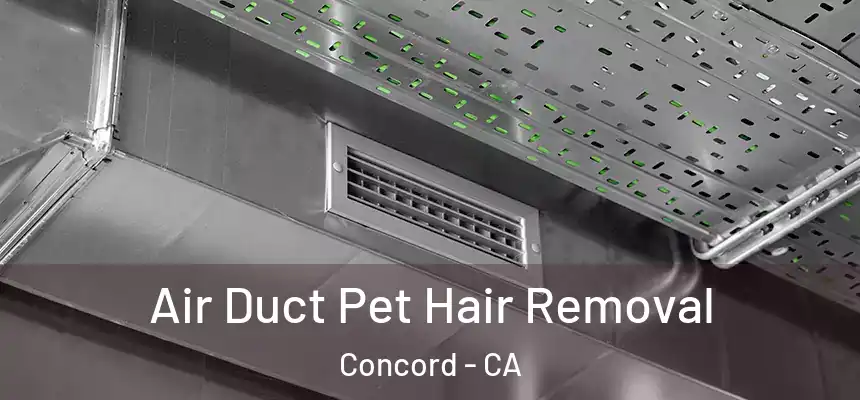 Air Duct Pet Hair Removal Concord - CA