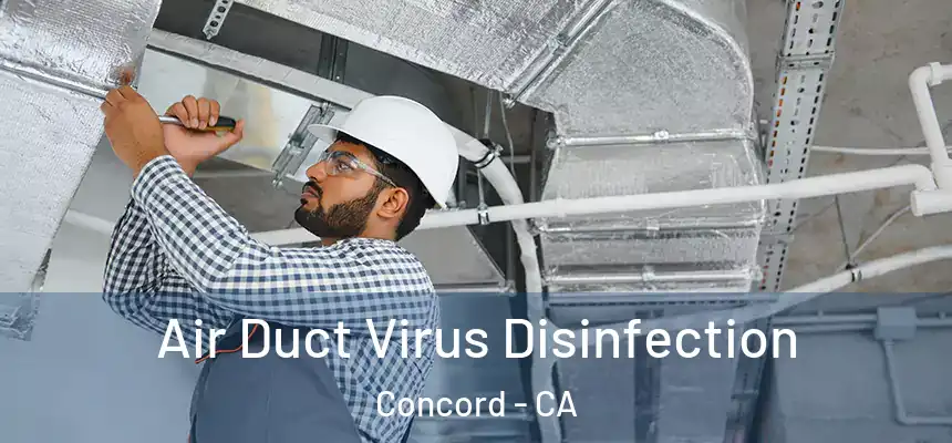  Air Duct Virus Disinfection Concord - CA