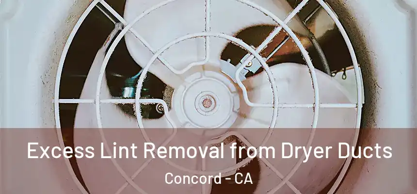 Excess Lint Removal from Dryer Ducts Concord - CA