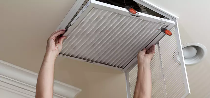 Preventive Cockroach-Proofing for Ducts in Concord