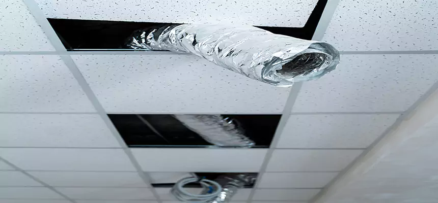 Affordable HVAC Sanitizing After Pest Removal in Concord