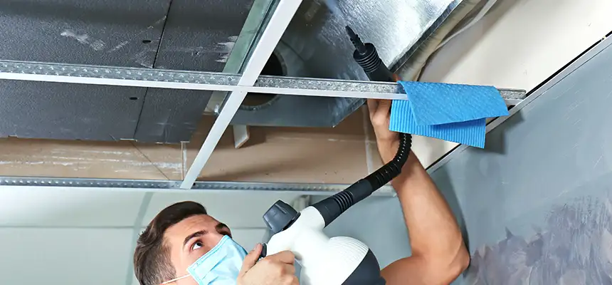 Our Air Duct Rodent Removal Services in Concord, CA