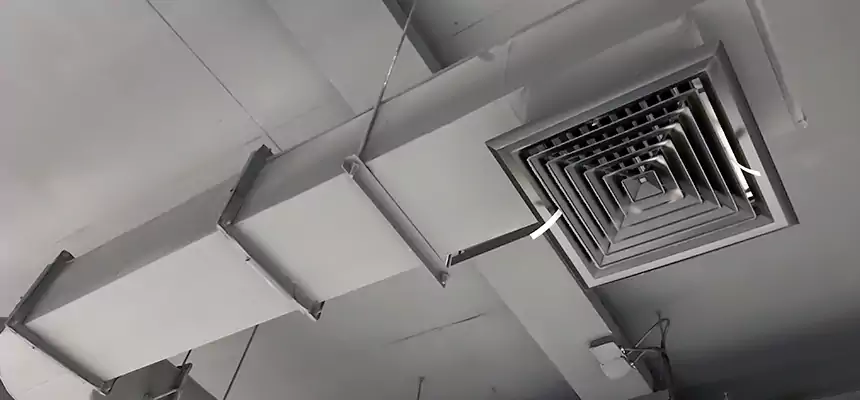 Our Pest Removal From Ducts Services in Concord, CA