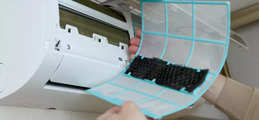 Gentle Ductwork Odor-Control Pet Dander Duct Cleaning in Concord, CA