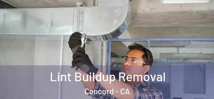  Lint Buildup Removal Concord - CA