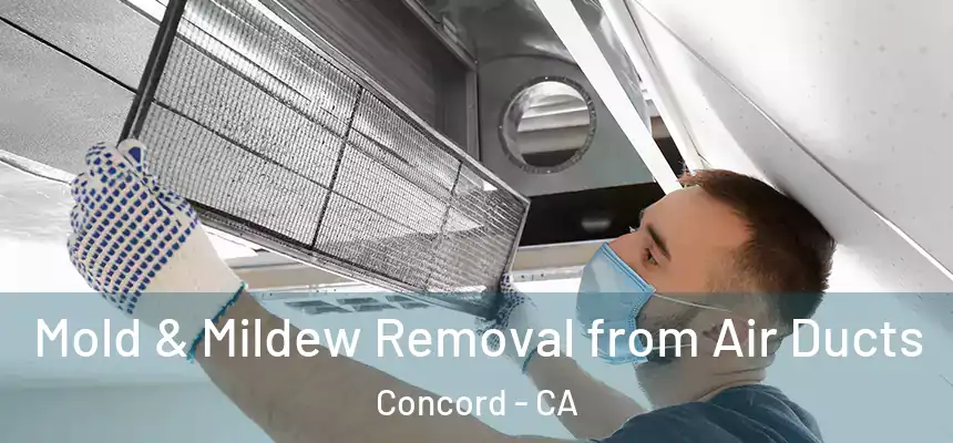 Mold & Mildew Removal from Air Ducts Concord - CA