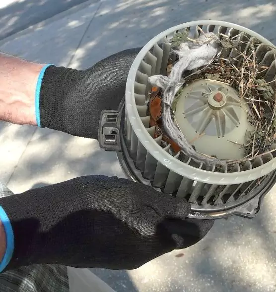 About Air Duct Mice Removal in Concord, CA