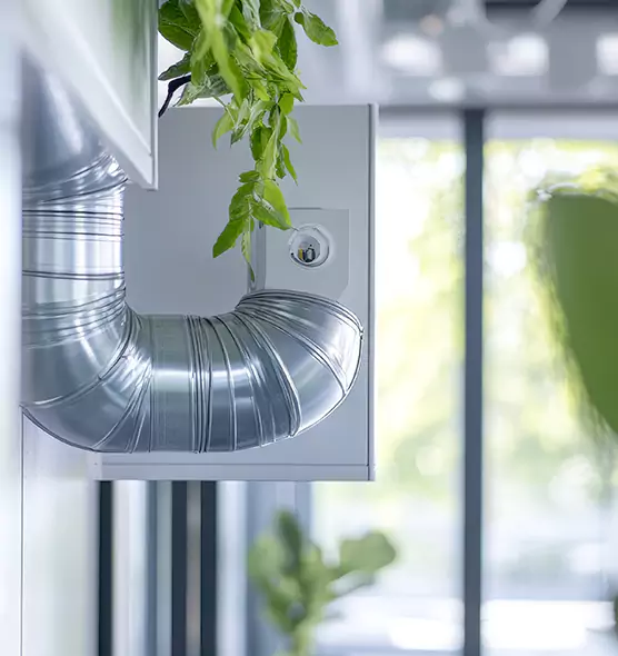 Professional Eco-Friendly Duct Cleaning Services in Concord, CA