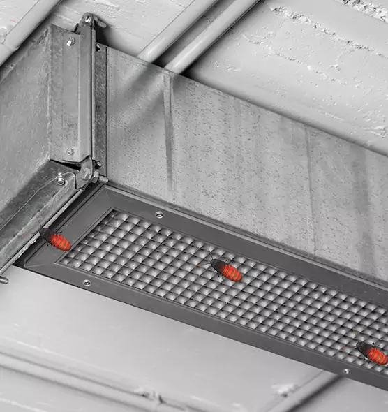 Affordable Insect Removal from Air Ducts in Concord, CA