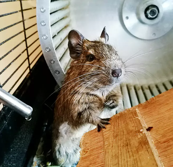 Why Homeowners & Businesses Trust Us Concord, CA?