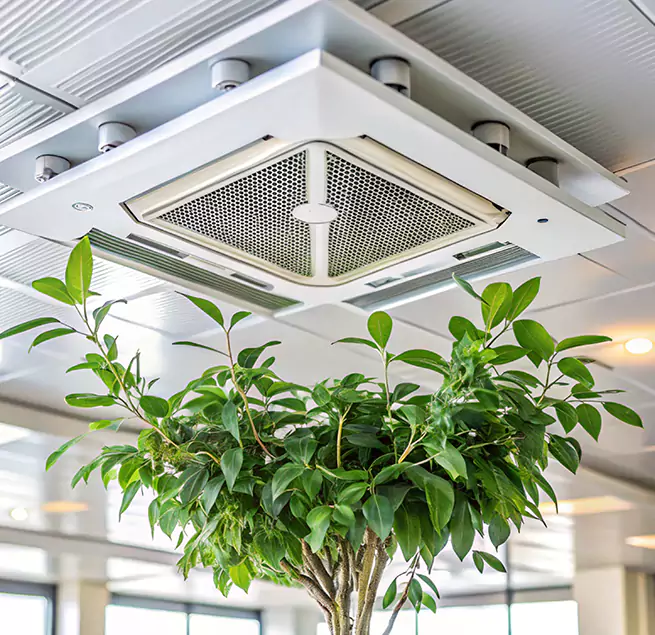 Why Homeowners & Businesses Trust Us in Concord, CA?