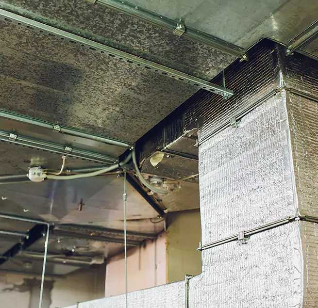 Why Homeowners & Businesses Trust Us in Concord, CA?